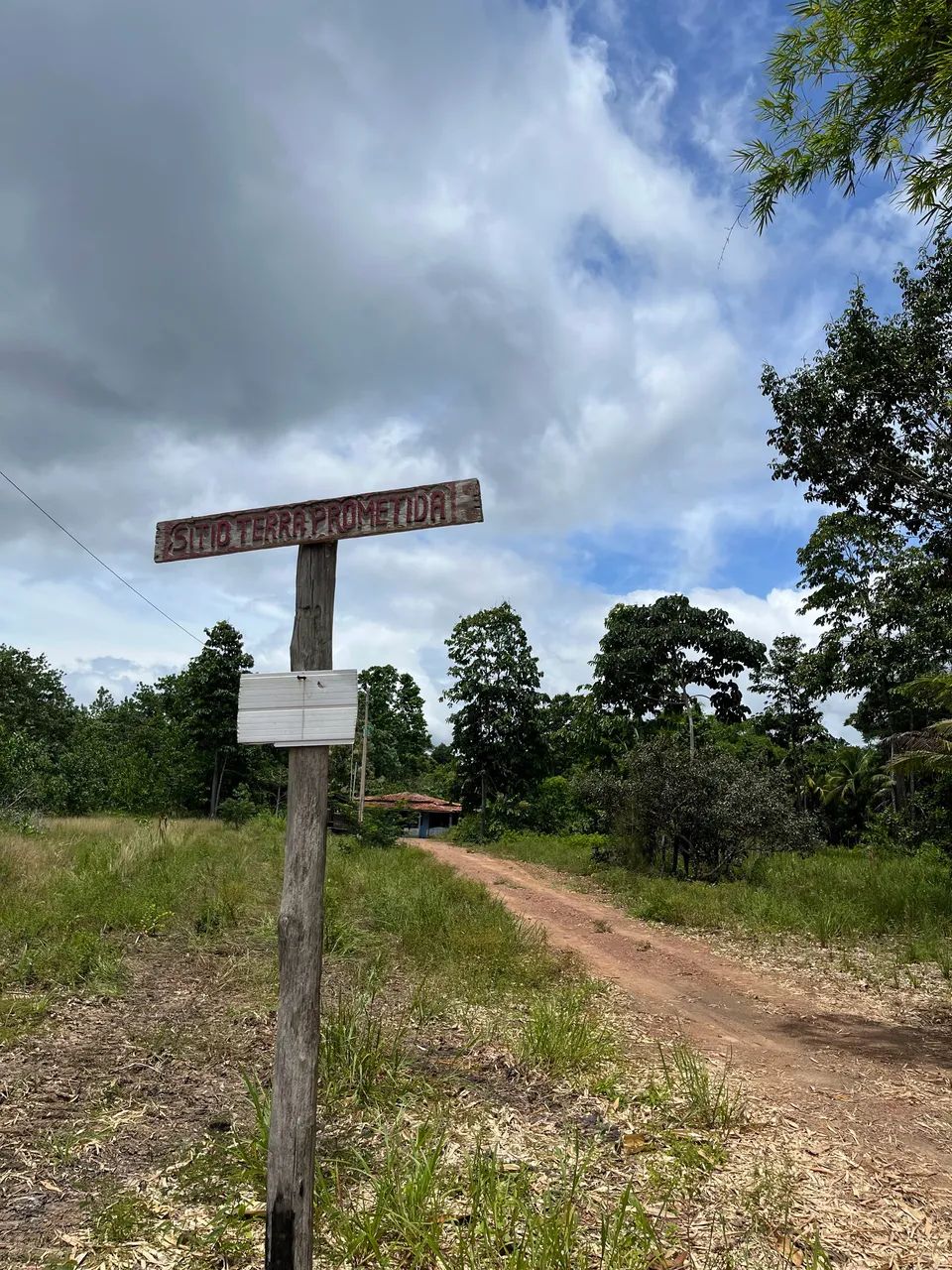 ÁREA RURAL EM PALMARES - Foto 4