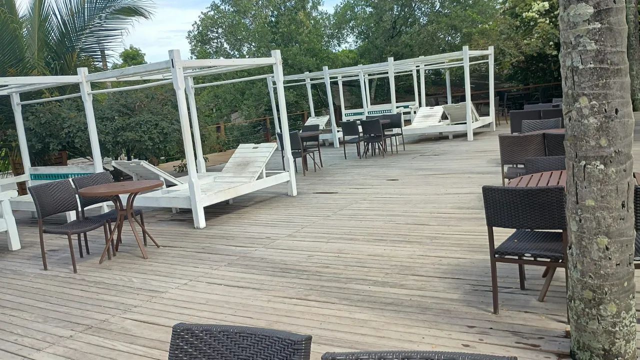 Carpinteiro  - Foto 4