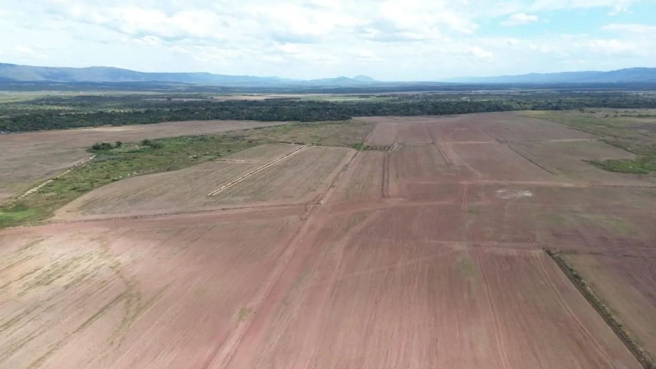 Fazenda arrendamento 1.300 hec em Jangada MT. 