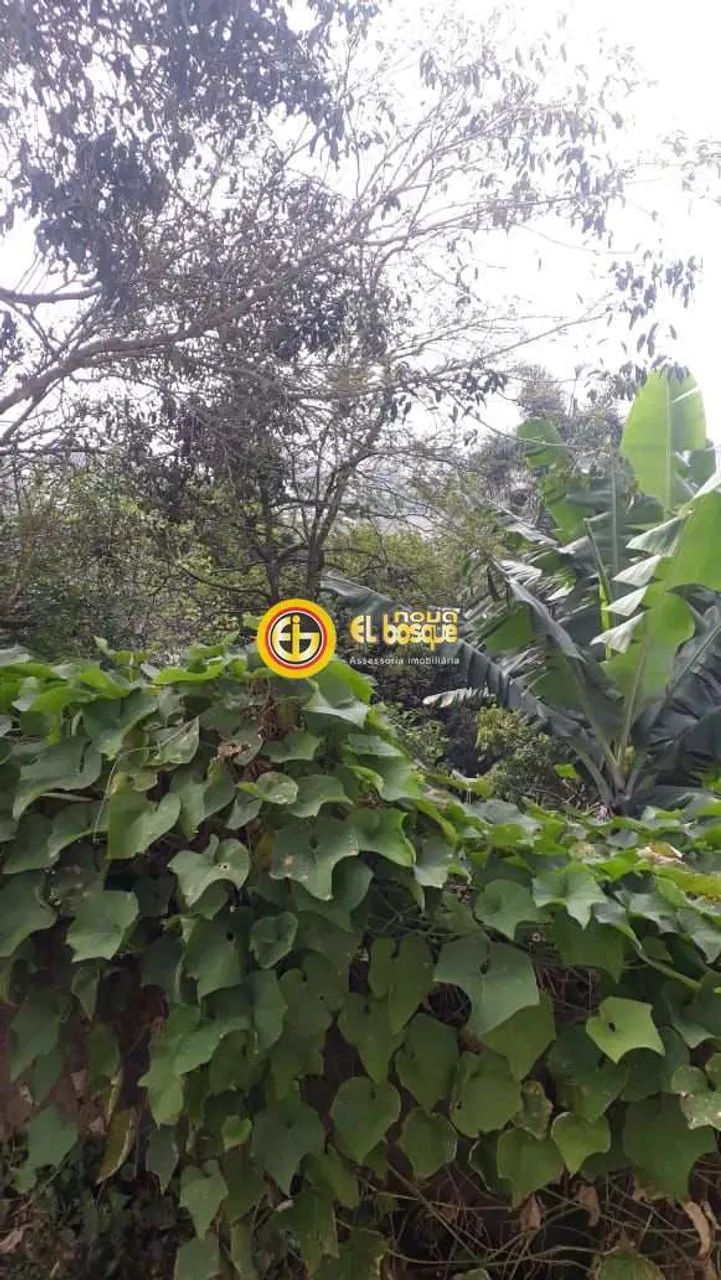 Galpão com 2 dorms, Palanque, São Paulo - R$ 950 mil, Cod: - Foto 3