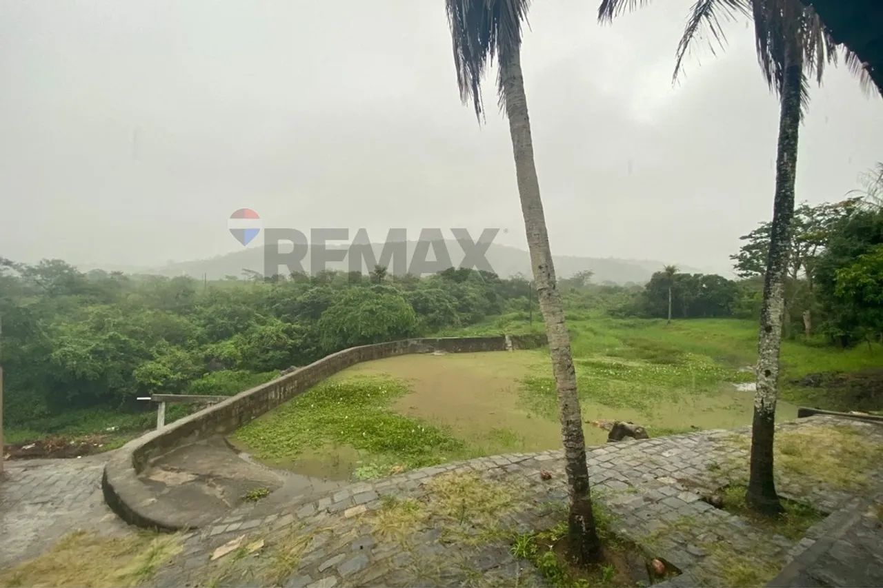 VENDE linda Chácara em Terra Vermelha, Preço Reduzido! - Foto 5