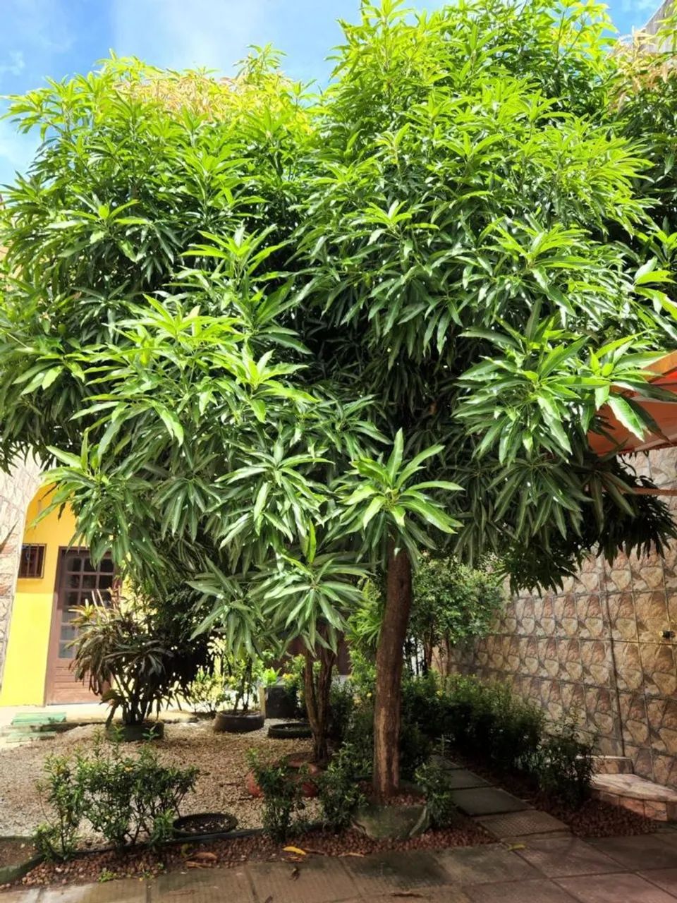 Casa ampla 3 suítes na Jatiúca  - Foto 2