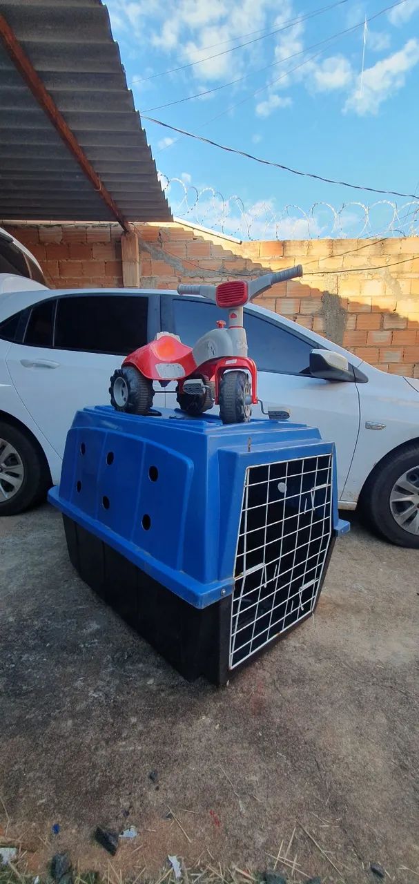 Caixa Transporte Cachorro N5 - Foto 4