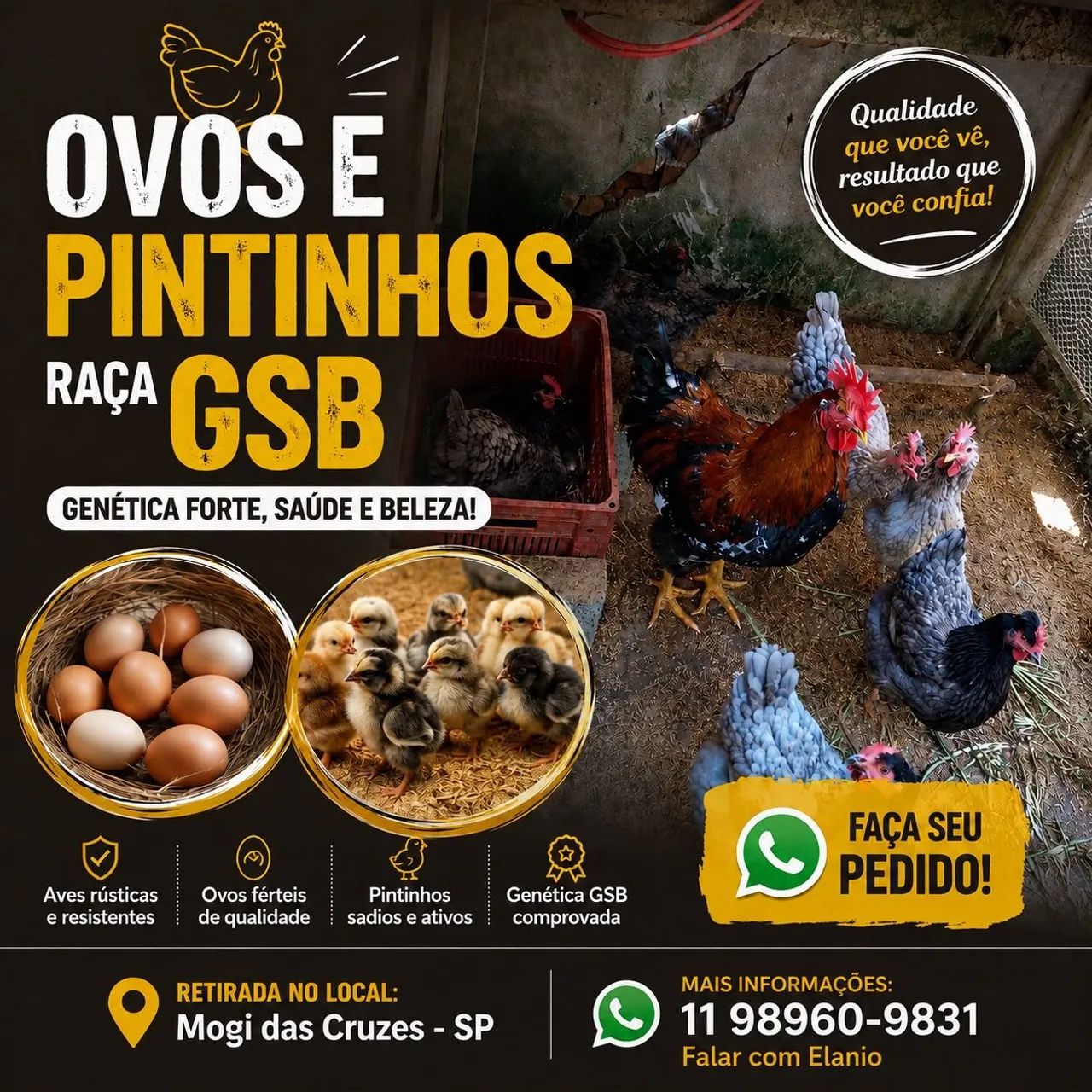 Vendas 
