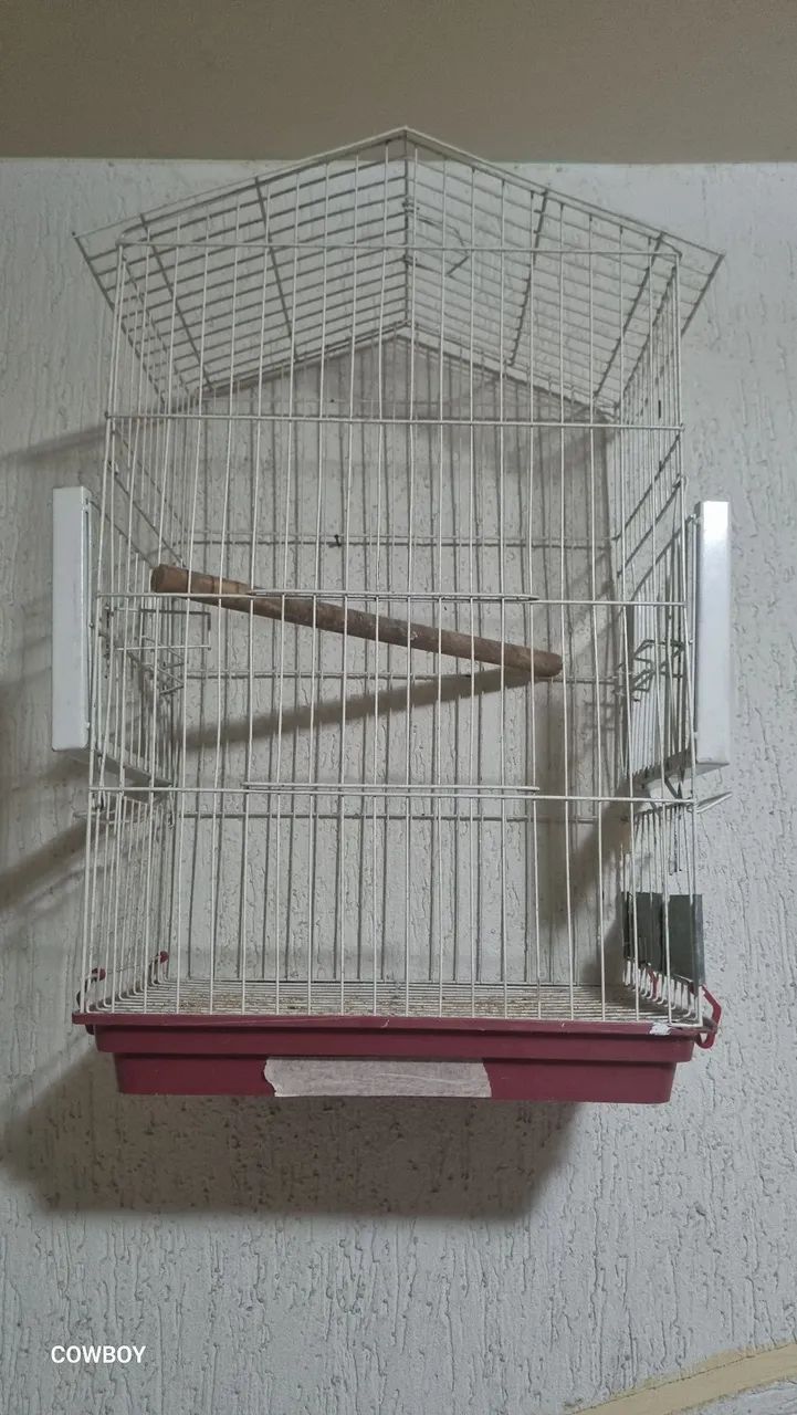 Gaiola