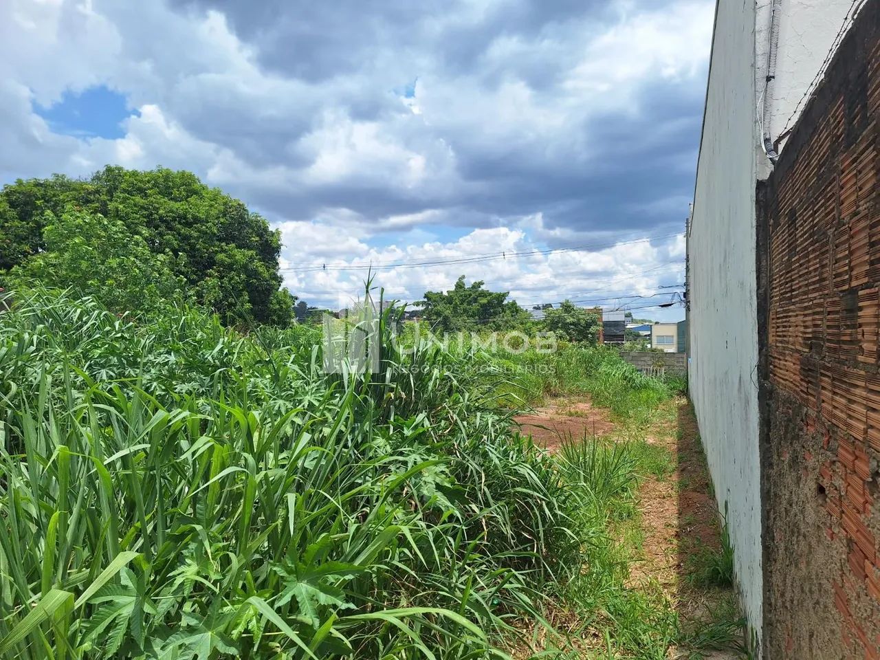 terreno - Jardim Nilópolis - Campinas - Foto 4