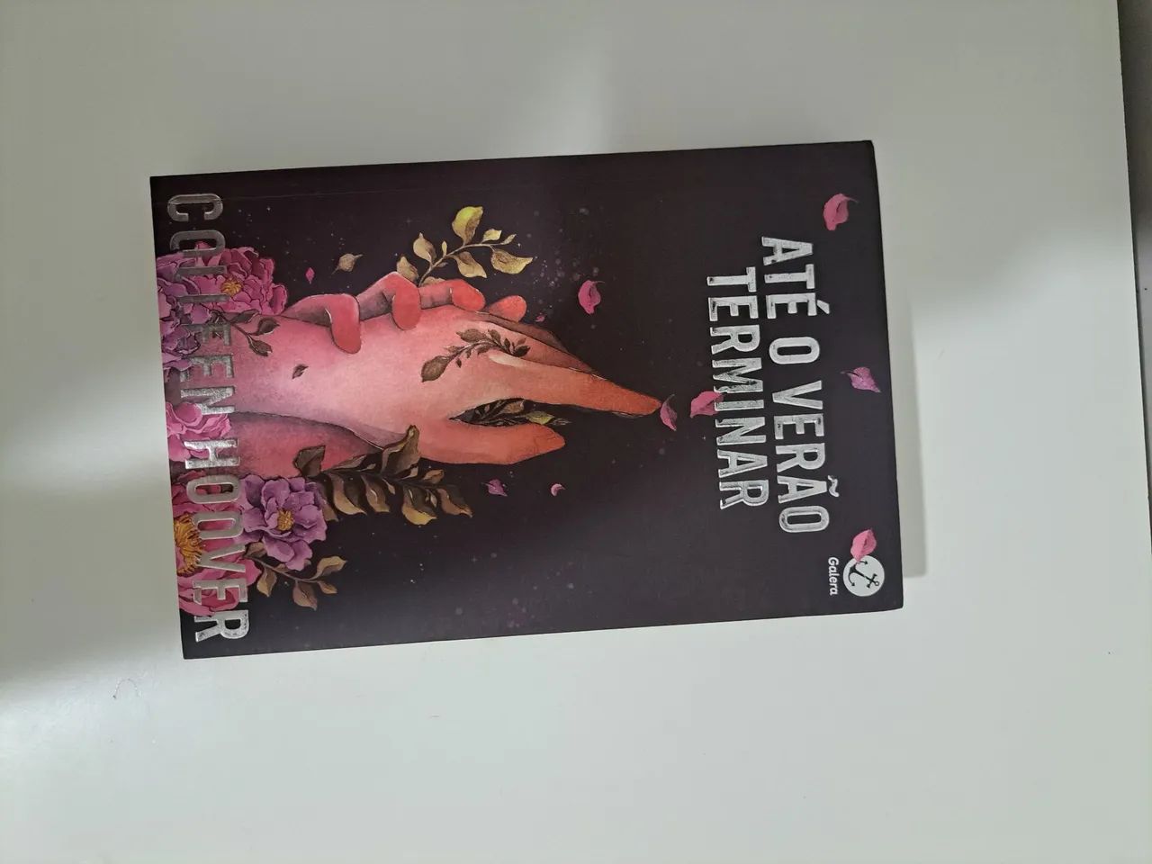 Livro - Até o Verão Terminar