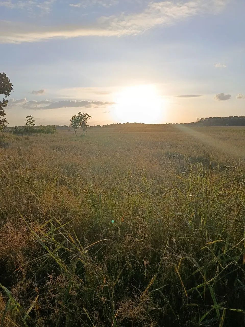 Terreno rural  - Foto 2