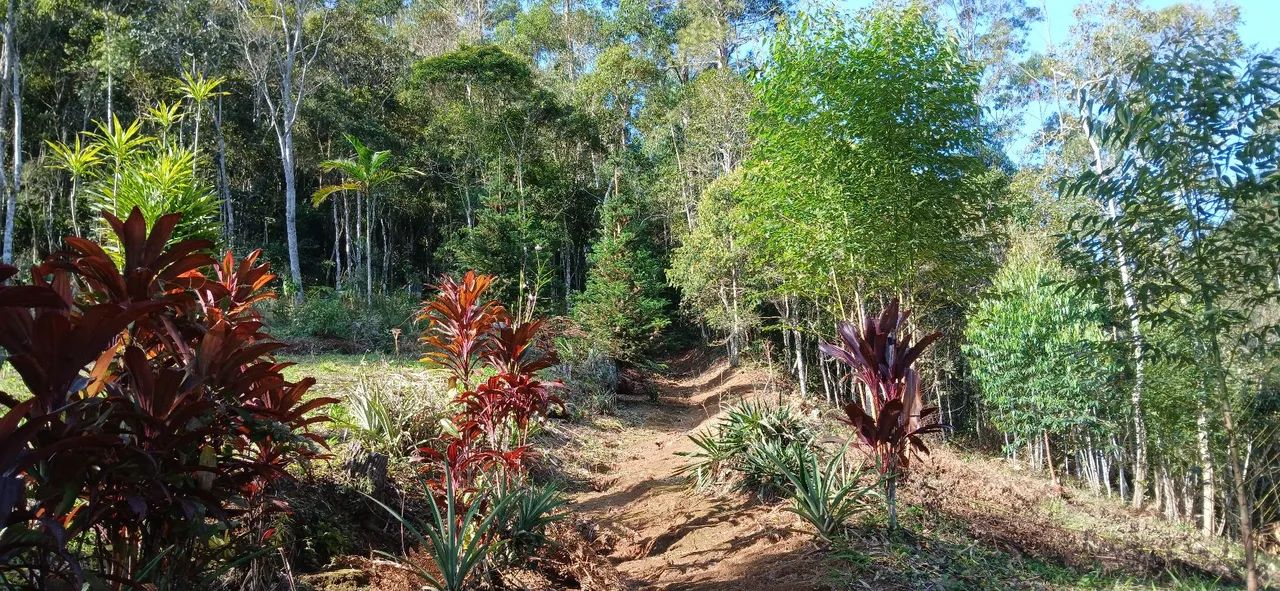 Vende-se Sítio com Casa - Foto 4