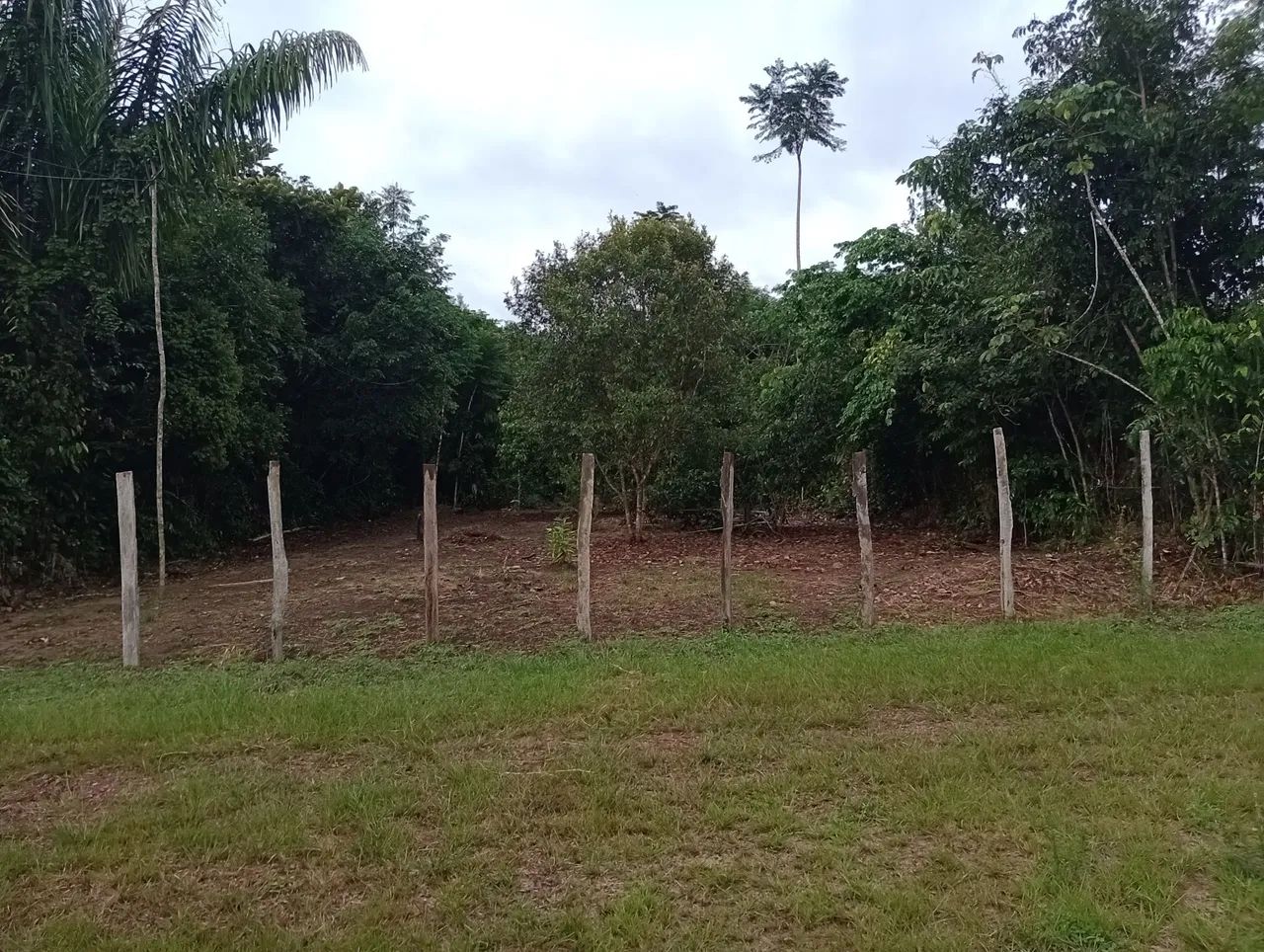 Terreno  - Foto 3