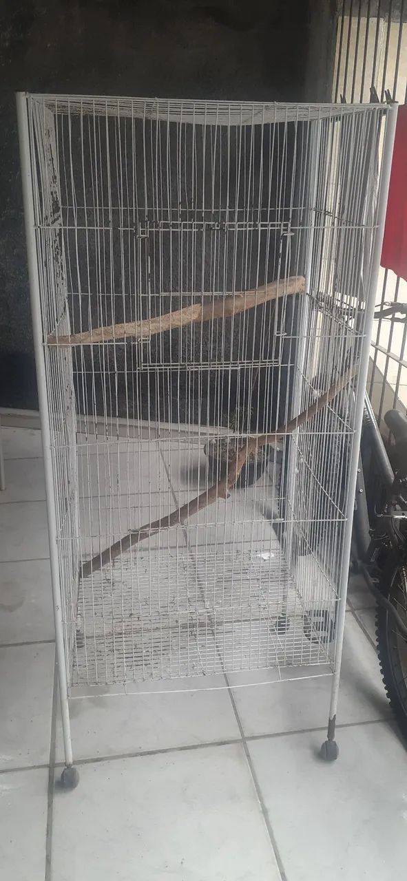 Gaiola de papagaio 