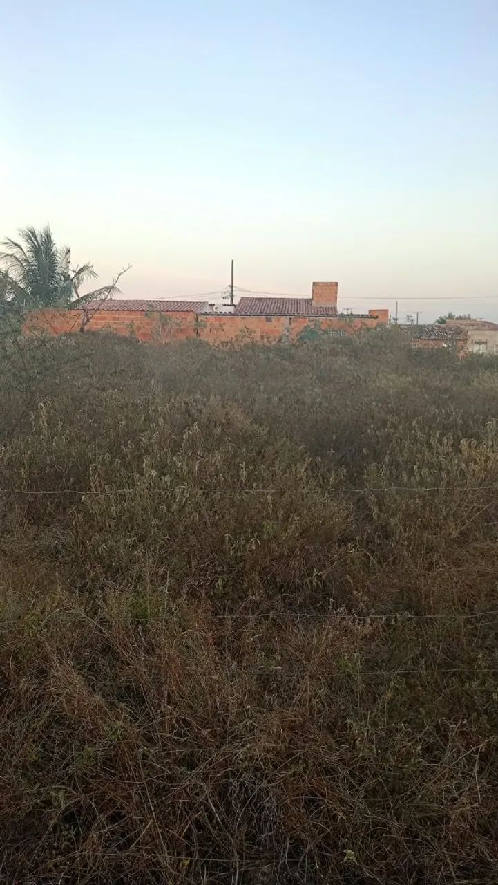 Terreno 