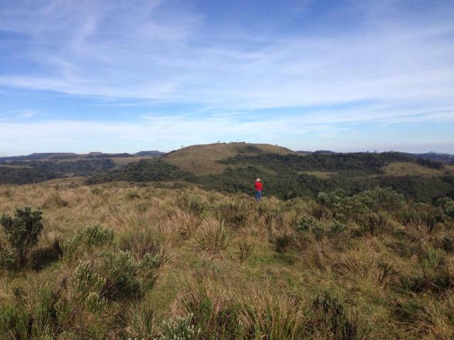 Fazenda em Urubici - SC - Foto 2