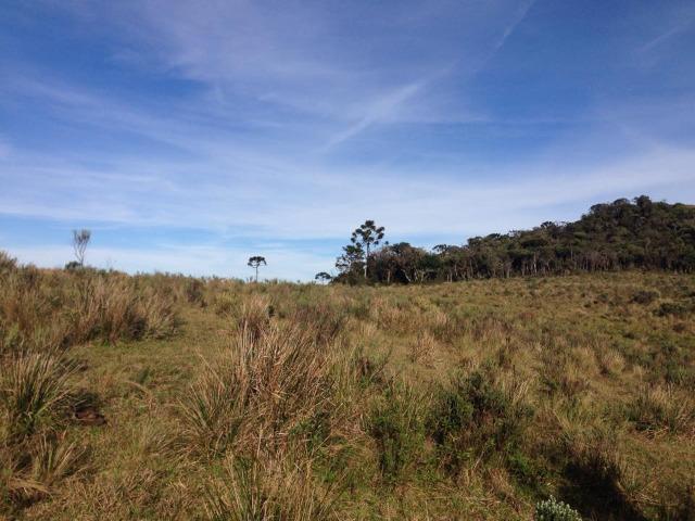 Fazenda em Urubici - SC - Foto 8