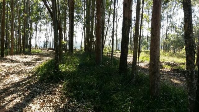 Condomínio de chácaras em Sapiranga - Vivendas do Campo - Foto 10
