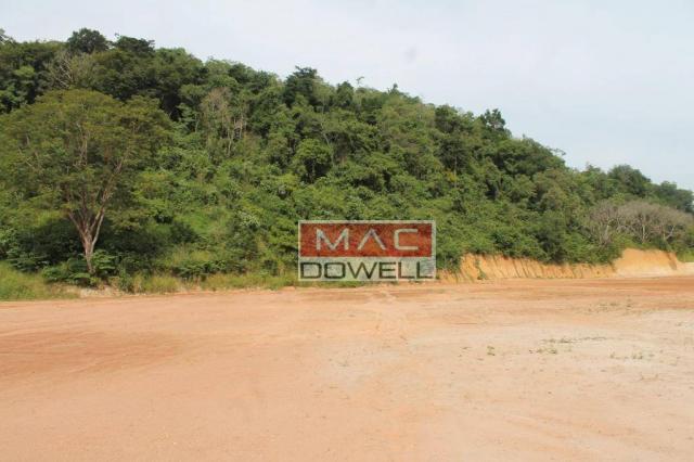 Terreno plano de 40.000 mts² em Papucaia - Foto 3