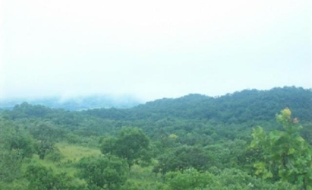 Venda de uma Fazenda- 25 alqueires - Arenópolis-GO