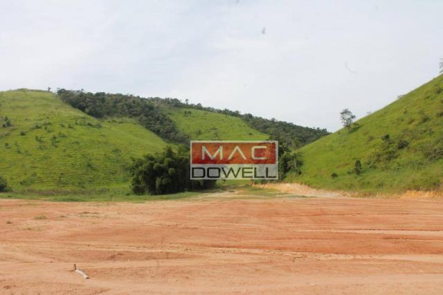 Terreno plano de 40.000 mts² em Papucaia - Foto 15