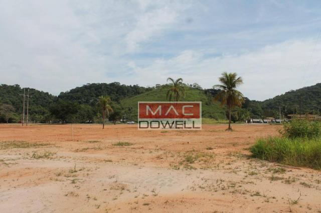 Terreno plano de 40.000 mts² em Papucaia - Foto 6