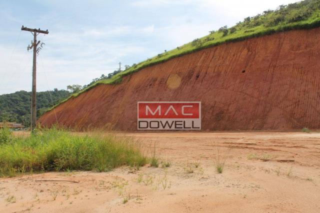 Terreno plano de 40.000 mts² em Papucaia - Foto 9