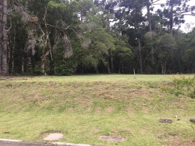 Terreno à venda, 680 m² por r$ 618.338,53 - centro - canela/rs - Foto 8