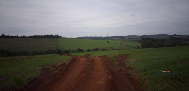Sítio à venda, 387200 m² por R$ 3.891.200 - - Foto 2