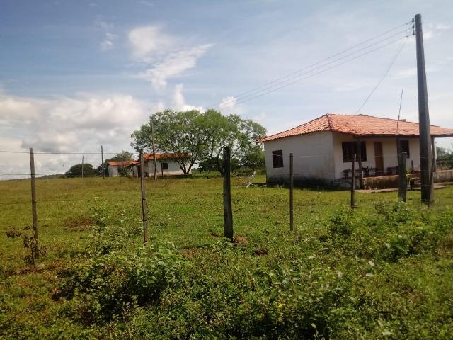 Fazenda 1.940 hectares na Estrada do Manso a 50 km de Cuiabá - Foto 2