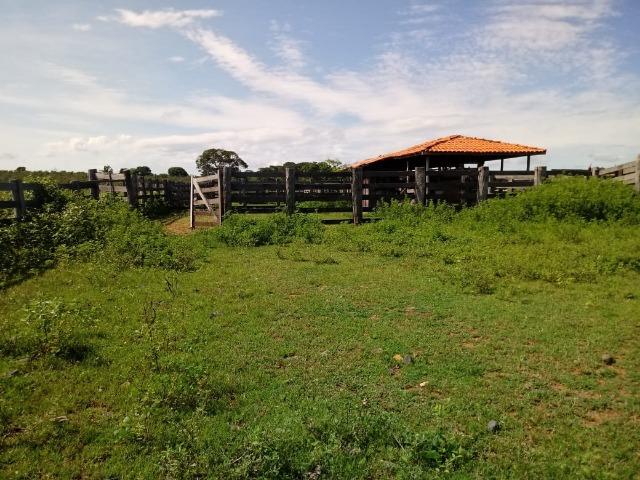 Fazenda 1.940 hectares na Estrada do Manso a 50 km de Cuiabá - Foto 16