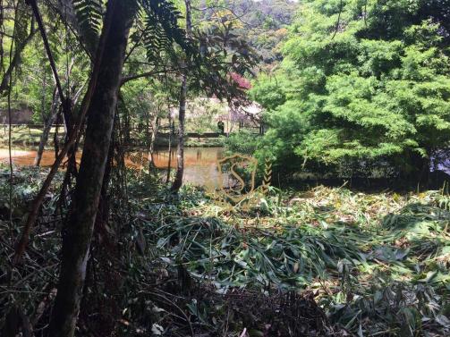 Terreno à venda, 653 m² por r$ 210.000,00 - comary - teresópolis/rj - Foto 7