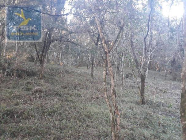 CH0300 - Chácara Agudos do Sul 12.100 m² 3 km da cidade - Foto 7
