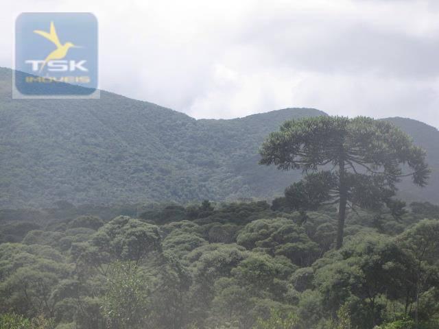Piraquara chácara 64.471,25 m² planta deodoro infinitas possibilidades dentro da cidade ch - Foto 6