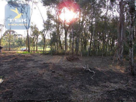 Ch0153 - contenda chácara 59.000 m² plana, rica em águas, parte com eucaliptos - Foto 13