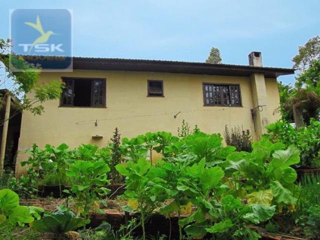 Chácara rural à venda, 4 pinheiros, mandirituba. - Foto 4