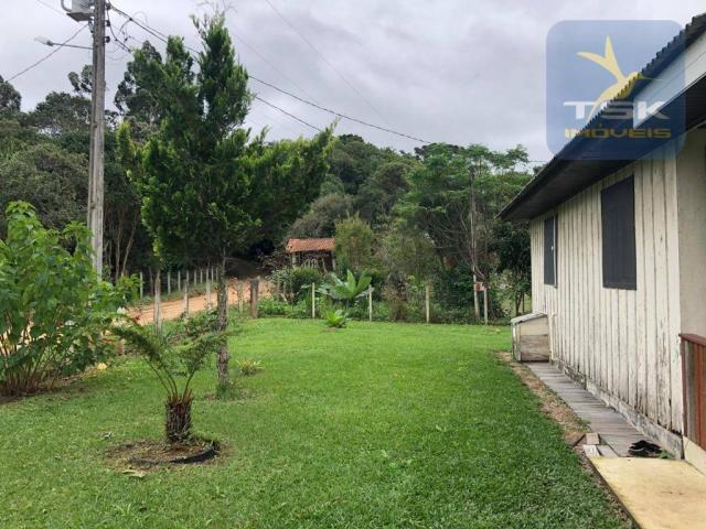 Chácara à venda, 6.957 m² por r$ 175.000 - barco - mandirituba/pr