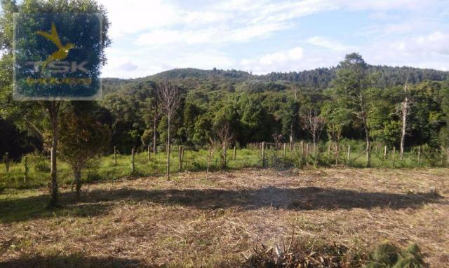 Ch0190 mandirituba chácara 4.400 m² vendo ou troco lugar bom de conhecer - Foto 8