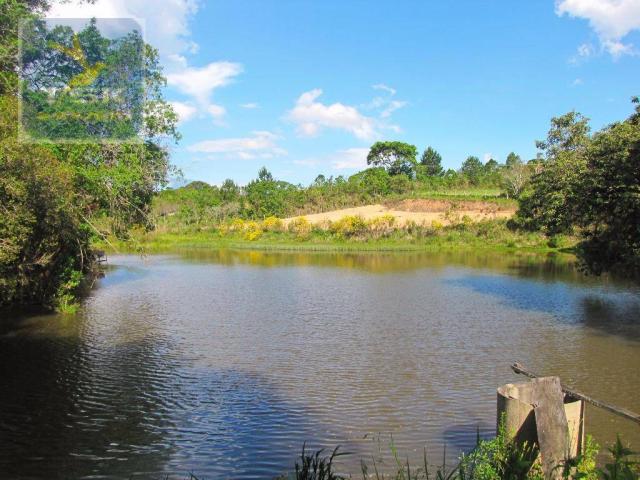 Ch0137 - chácara mandirituba 1 alq. 32 km de curitiba - Foto 3