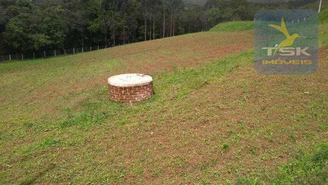 Ch0315 - são josé dos pinhais chácara 20.000 m² casa nova formada lago - Foto 5