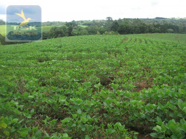 Ch0197 - área para formar chácara araucária - tietê 36.300 m² luz e água - Foto 12
