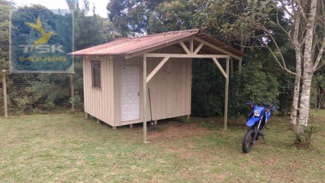 Ch0190 mandirituba chácara 4.400 m² vendo ou troco lugar bom de conhecer - Foto 11