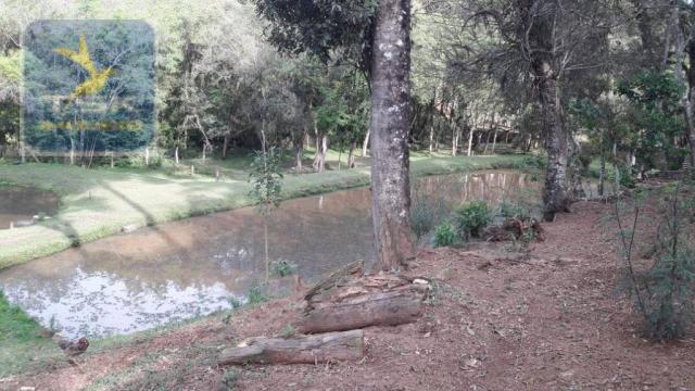 Ch0311 - mandirituba - chácara 10.000 m² com casa antes do pedágio - Foto 16