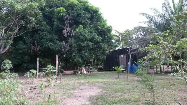 Chácara na Beira do Rio Cuiabá - Barranco alto II - Somente contrato de compra e venda - Foto 13