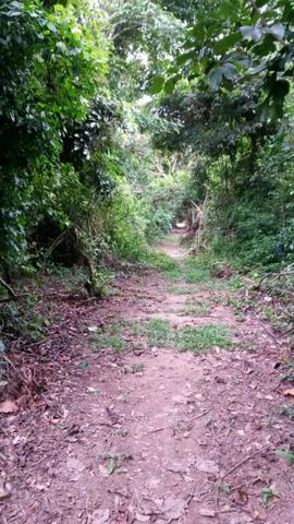 Chácara na Beira do Rio Cuiabá - Barranco alto II - Somente contrato de compra e venda - Foto 9