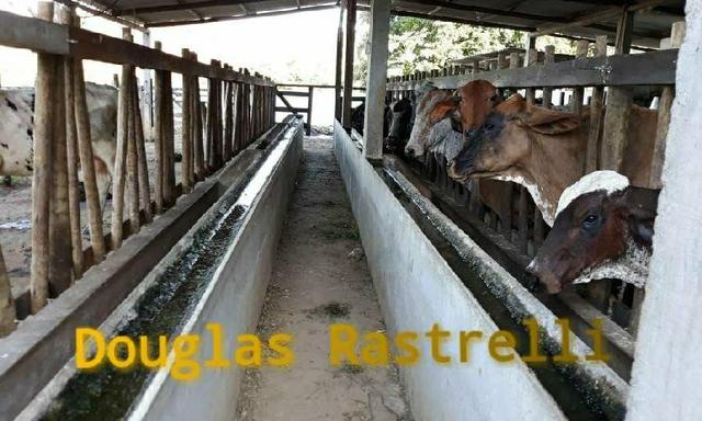 Belíssimo sítio em Cachoeiras de Macacu RJ 122 oportunidade!!! - Foto 3