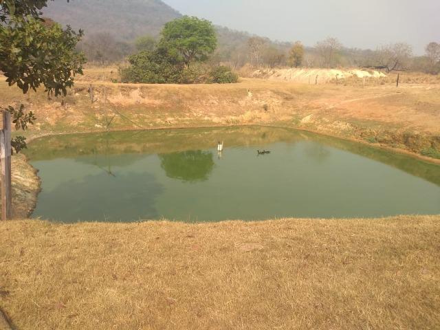 Vendo Sítio com 10 hectares à 23 Km de Cuiabá sentido Santo Antonio, - Foto 16