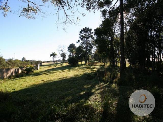 Chácara à venda em Rodeiozinho, Balsa nova cod:1202 - Foto 17