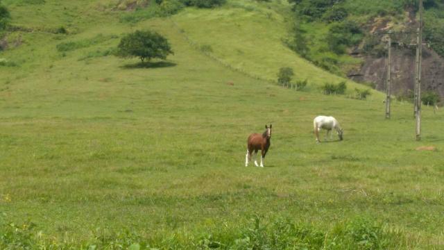 Excelente propriedade em Cantagalo!!! - Foto 4