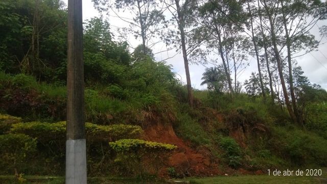 Edinaldo Santos - Grama - terreno 4.000m² exc. localização - Foto 8