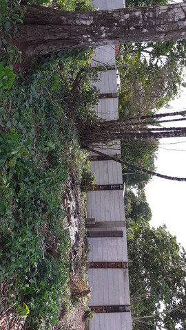 MURO PRÉ FABRICADO - Foto 4