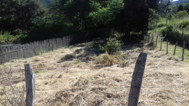 Aceito 100% wibx - Vende-se um terreno sul de minas com 538 M2. - Foto 6