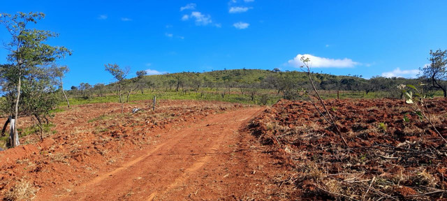 004 TERRENO BEM LOCALIZADO